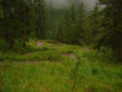2013-08-25_Risserkogel (270).JPG